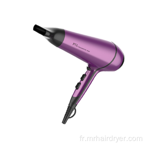 Nouveau sèche-cheveux puissant professionnel 2100W